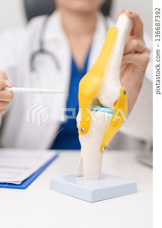 Doctor with Human Knee joint anatomy model. Osteoarthritis, Patellofemoral Pain Syndrome, Patellar Tendinitis, ACL, Anterior Cruciate Ligament, PCL, Posterior, MCL, Medial Collateral, LCL and Lateral 136687392