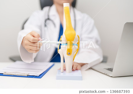 Doctor with Human Knee joint anatomy model. Osteoarthritis, Patellofemoral Pain Syndrome, Patellar Tendinitis, ACL, Anterior Cruciate Ligament, PCL, Posterior, MCL, Medial Collateral, LCL and Lateral 136687393