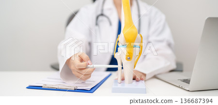 Doctor with Human Knee joint anatomy model. Osteoarthritis, Patellofemoral Pain Syndrome, Patellar Tendinitis, ACL, Anterior Cruciate Ligament, PCL, Posterior, MCL, Medial Collateral, LCL and Lateral 136687394