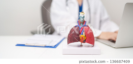Doctor with Respiratory system anatomy for Diseases. Lung Cancer, Asthma, Chronic Obstructive Pulmonary or COPD, Bronchitis, Emphysema, Cystic Fibrosis, Bronchiectasis, Pneumonia and Pleural Effusion Doctor with Respiratory system anatomy for Diseases. Lung Cancer, Asthma, Chronic Obstructive Pulmonary or COPD, Bronchitis, Emphysema, Cystic Fibrosis, Bronchiectasis, Pneumonia and Pleural Effusion 136687409