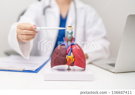 Doctor pointing Hyoid Bond of Respiratory system anatomy for Diseases. Lung Cancer, Asthma, Chronic Obstructive Pulmonary or COPD, Bronchitis, Emphysema, Cystic Fibrosis, Bronchiectasis and Pneumonia Doctor pointing Hyoid Bond of Respiratory system anatomy for Diseases. Lung Cancer, Asthma, Chronic Obstructive Pulmonary or COPD, Bronchitis, Emphysema, Cystic Fibrosis, Bronchiectasis and Pneumonia 136687411