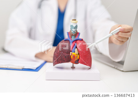 Doctor with Smoker and normal Lung anatomy for Disease. Lung Cancer, Asthma, Chronic Obstructive Pulmonary or COPD, Bronchitis, Emphysema, Cystic Fibrosis, Bronchiectasis, Pneumonia and world Lung day 136687413