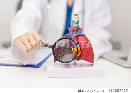 Doctor with Smoker Lung anatomy with magnifying glass. Lung Cancer, Asthma, Chronic Obstructive Pulmonary or COPD, Bronchitis, Emphysema, Cystic Fibrosis, Bronchiectasis, Pneumonia and world Lung day Doctor with Smoker Lung anatomy with magnifying glass. Lung Cancer, Asthma, Chronic Obstructive Pulmonary or COPD, Bronchitis, Emphysema, Cystic Fibrosis, Bronchiectasis, Pneumonia and world Lung day 136687415