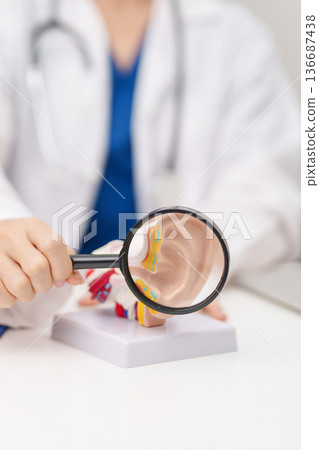 Doctor with human Ear anatomy model. Ear disease, Atresia, Otitis Media, Pertorated Eardrum, Meniere syndrome, otolaryngologist, Ageing Hearing Loss, Schwannoma and Healthcare medical concept Doctor with human Ear anatomy model. Ear disease, Atresia, Otitis Media, Pertorated Eardrum, Meniere syndrome, otolaryngologist, Ageing Hearing Loss, Schwannoma and Healthcare medical concept 136687438