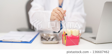 Dentist with tooth Anatomy model. Oral Teeth decay and disease, Scrape off tartar. March Oral health, Dentist Day, False Teeth. Toothache and Children Dental Health Month and Orthodontic Health Day Dentist with tooth Anatomy model. Oral Teeth decay and disease, Scrape off tartar. March Oral health, Dentist Day, False Teeth. Toothache and Children Dental Health Month and Orthodontic Health Day 136687462
