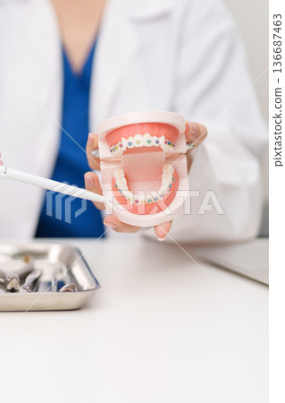 Dentist with Orthodontic tooth model and bracket or brace. Clean and Scrape off tartar. May Orthodontic Health Day, March Oral health, Dentist Day, False Teeth. Toothache and Children Dental Health 136687463