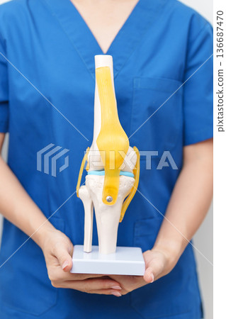 Doctor with Human Knee joint anatomy model. Osteoarthritis, Patellofemoral Pain Syndrome, Patellar Tendinitis, ACL, Anterior Cruciate Ligament, PCL, Posterior, MCL, Medial Collateral, LCL and Lateral 136687470