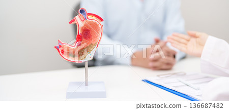 Doctor with Gastric anatomy model. Gastroenterologist consultation, stomach diseases and ulcers, November stomach cancer, Gastroesophageal Reflux Disease, GERD, Acid reflux and healthcare medical Doctor with Gastric anatomy model. Gastroenterologist consultation, stomach diseases and ulcers, November stomach cancer, Gastroesophageal Reflux Disease, GERD, Acid reflux and healthcare medical 136687482