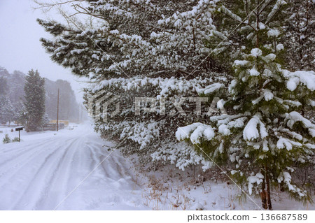 Snow covers trees road in winter scene near quiet rural area 136687589