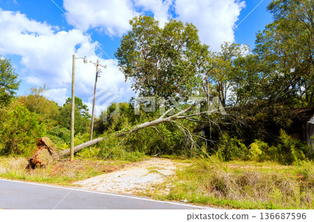 Fallen tree blocks road near power lines in rural area Fallen tree blocks road near power lines in rural area 136687596