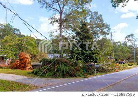 Tree falls on road during storm causing damage to power lines nearby property in residential area 136687599