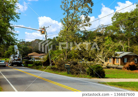 Cleanup efforts after tree falls on house in residential area 136687600