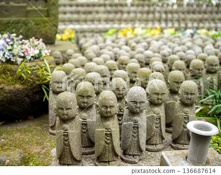Jizo statues of good fortune lined up in the grounds of Hasedera Temple 136687614