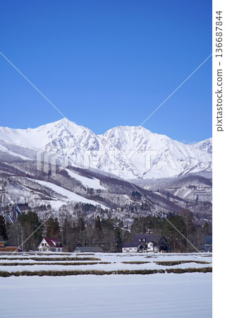 白雪皚皚的白馬村和北阿爾卑斯山 白雪皚皚的白馬村和北阿爾卑斯山 136687844
