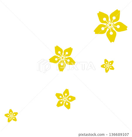 Five yellow cherry blossoms Five yellow cherry blossoms 136689107