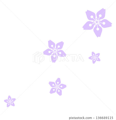 Five pale purple cherry blossoms Five pale purple cherry blossoms 136689115