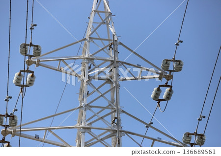 烏鴉在輸電塔和電力基礎設施上築巢 烏鴉在輸電塔和電力基礎設施上築巢 136689561