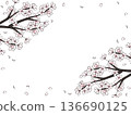 Cherry blossom branch and petal frame 136690125