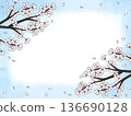 Cherry blossom petal frame dancing in the blue sky 136690128