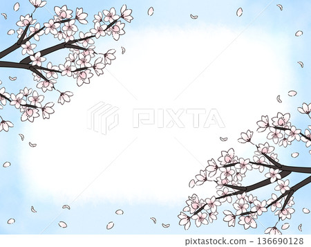 櫻花花瓣在藍天中翩翩起舞 136690128