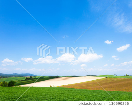 A view from the top of a hill in Biei, Hokkaido, in early summer, with a refreshing blue sky. 136690236