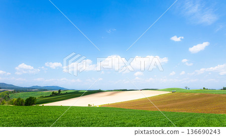 A view from the top of a hill in Biei, Hokkaido, in early summer, with a refreshing blue sky. 136690243