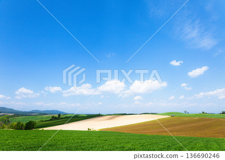 A view from the top of a hill in Biei, Hokkaido, in early summer, with a refreshing blue sky. A view from the top of a hill in Biei, Hokkaido, in early summer, with a refreshing blue sky. 136690246