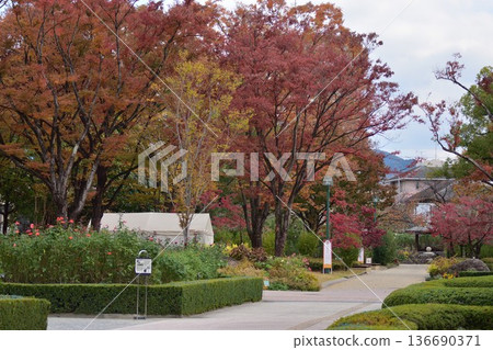 石橋文化館紅葉 136690371