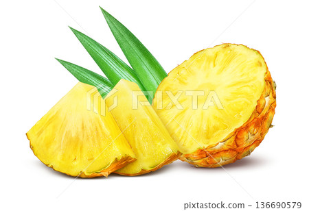 Pineapple illustration pineapple realistic 136690579