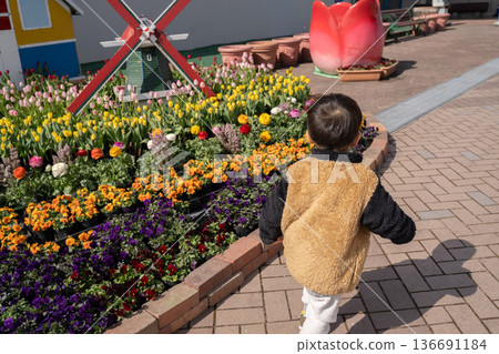 A boy walking in front of a flower bed in the park A boy walking in front of a flower bed in the park 136691184