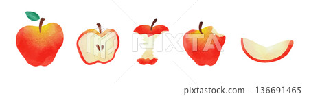 紅蘋果水彩插畫集 136691465