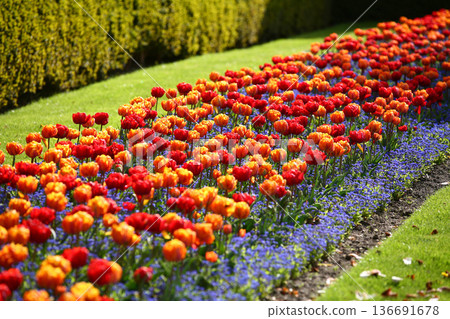 Frederiksberg Have in Denmark in spring 2012 Frederiksberg Have in Denmark in spring 2012 136691678