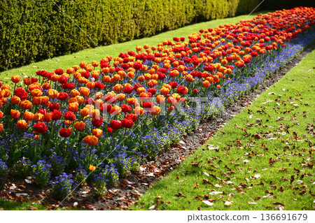 Frederiksberg Have in Denmark in spring 2012 Frederiksberg Have in Denmark in spring 2012 136691679