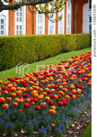 Frederiksberg Have in Denmark in spring 2012 Frederiksberg Have in Denmark in spring 2012 136691686
