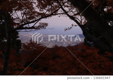 秋季紅葉時分,從神奈川縣伊勢原市大山阿振神社附近眺望關東平原的傍晚景色 秋季紅葉時分,從神奈川縣伊勢原市大山阿振神社附近眺望關東平原的傍晚景色 136691947
