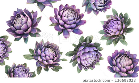 Multiple purple-pink blooming flowers with green leaves isolated on white background, botanical floral pattern concept Multiple purple-pink blooming flowers with green leaves isolated on white background, botanical floral pattern concept 136692028