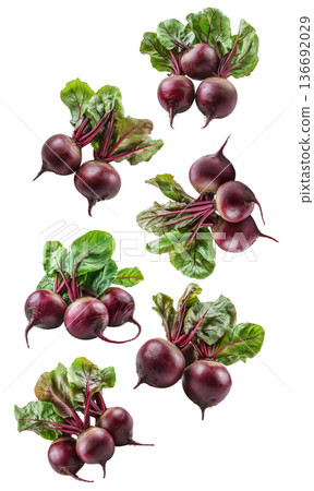 Multiple bunches of fresh organic beetroots with green leaves isolated on a white background, concept of healthy vegetables Multiple bunches of fresh organic beetroots with green leaves isolated on a white background, concept of healthy vegetables 136692029