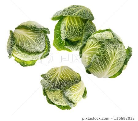 Fresh cabbage heads with rich green textured leaves isolated on white background, healthy organic produce Fresh cabbage heads with rich green textured leaves isolated on white background, healthy organic produce 136692032