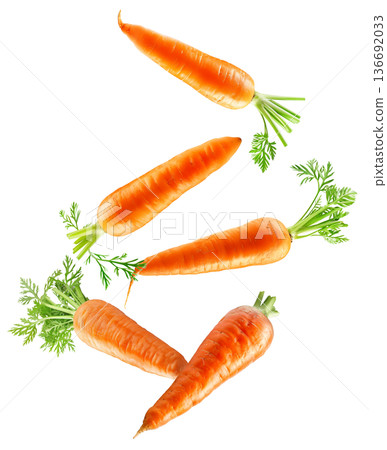 Bunches of fresh orange carrots with green tops arranged in a scattered layout isolated on white background, organic healthy food Bunches of fresh orange carrots with green tops arranged in a scattered layout isolated on white background, organic healthy food 136692033