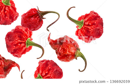 Wrinkled red Carolina Reaper chili peppers isolated on white background, close-up of extreme heat food concept, natural style 136692039