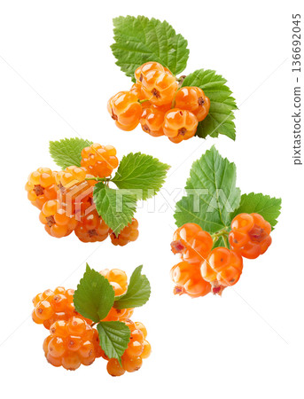 Fresh cloudberries with green leaves arranged in seamless pattern on white background, concept of fruit harvest and freshness 136692045