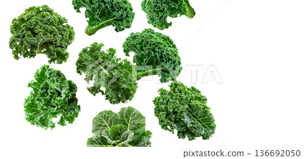 Fresh curly kale leaves arranged in a scattered layout, isolated on white background, concept of healthy eating. Fresh curly kale leaves arranged in a scattered layout, isolated on white background, concept of healthy eating. 136692050