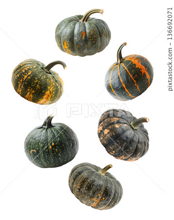 Assorted green and orange pumpkins scattered in a seamless pattern isolated on white background 136692071