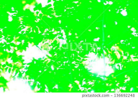 Green background material Green background material 136692248