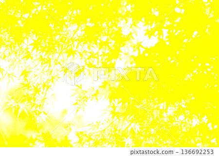 黃色背景素材 136692253