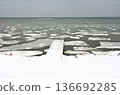 Coast in Mikkelborg Danmark 136692285