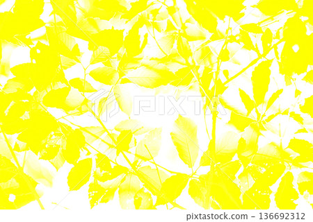 Yellow background material Yellow background material 136692312