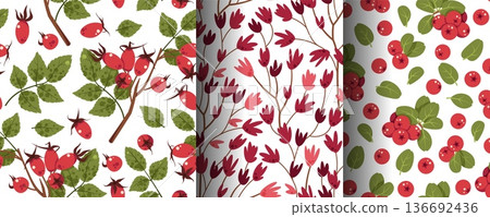 Set of Seamless Forest Patterns with Lingonberry, Rosehip, Leaves and Flowers in Flat Style. Botanical Wilderness Texture for Textile, Wallpaper, Packaging, Stationery and Natural Decor Set of Seamless Forest Patterns with Lingonberry, Rosehip, Leaves and Flowers in Flat Style. Botanical Wilderness Texture for Textile, Wallpaper, Packaging, Stationery and Natural Decor 136692436