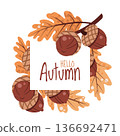 Square Frame with Acorns and Oak Leaves in Flat Style. Ideal for Autumn Cards, Thanksgiving Posters, Banners, Social Media and Labels Square Frame with Acorns and Oak Leaves in Flat Style. Ideal for Autumn Cards, Thanksgiving Posters, Banners, Social Media and Labels 136692471