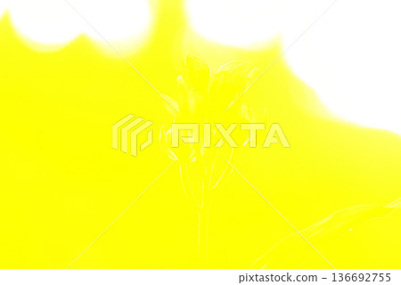 黃色背景材料 黃色背景材料 136692755